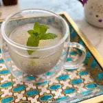 Bariatric Seed Trick – Diet journal with bariatric seed mix and water bottle beside it.